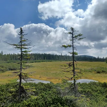 בית נופש Hill 61 By Interhome