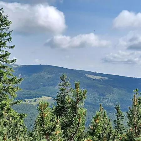 Hill 61 By Interhome * Cista (Hradec Kralove)